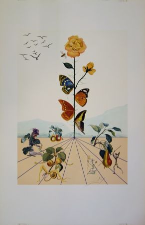 Litografia Dali - Flordali II - La rose papillon