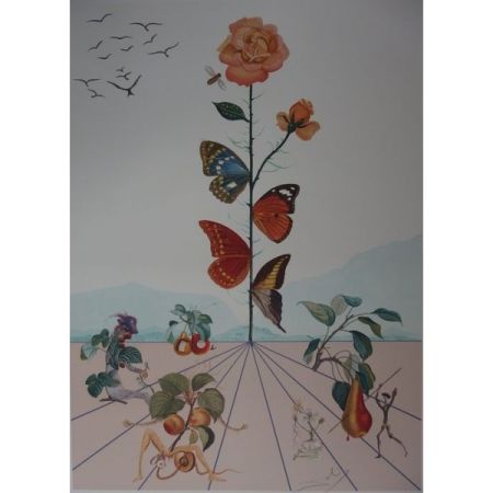Litografia Dali - Flordali II : la rose papillon