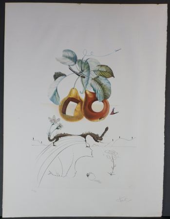 Incisione Dali - FlorDali/Le Fruits Fruit With Holes