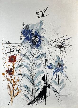 Litografia Dali - Flower Magician