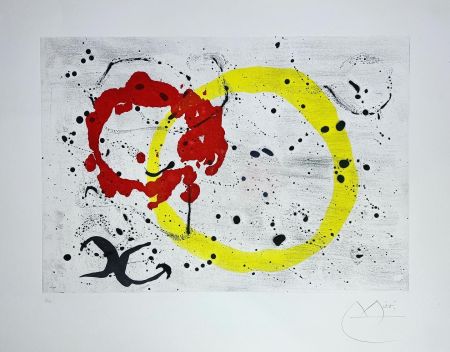 Acquaforte E Acquatinta Miró - FOND MARIN