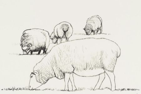 Litografia Moore - Four Sheep Grazing