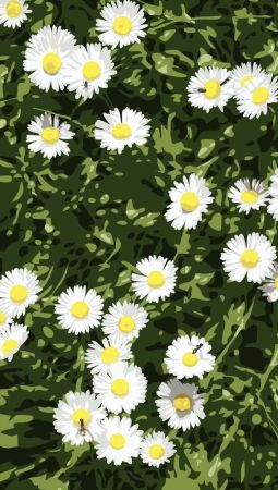 Non Tecnico Opie - French Landscapes: Daisies