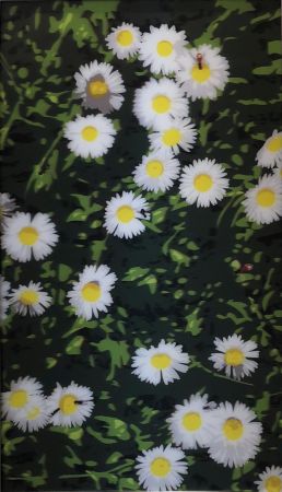 Multiplo Opie - French Landscapes: Daisies