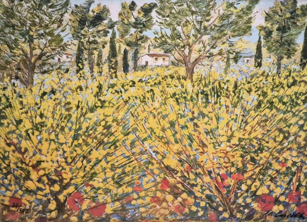 Serigrafia Cascella - Ginestre in Toscana