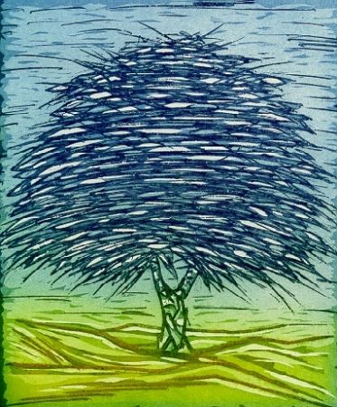 Libro Illustrato Rossello - Gli alberi della memoria
