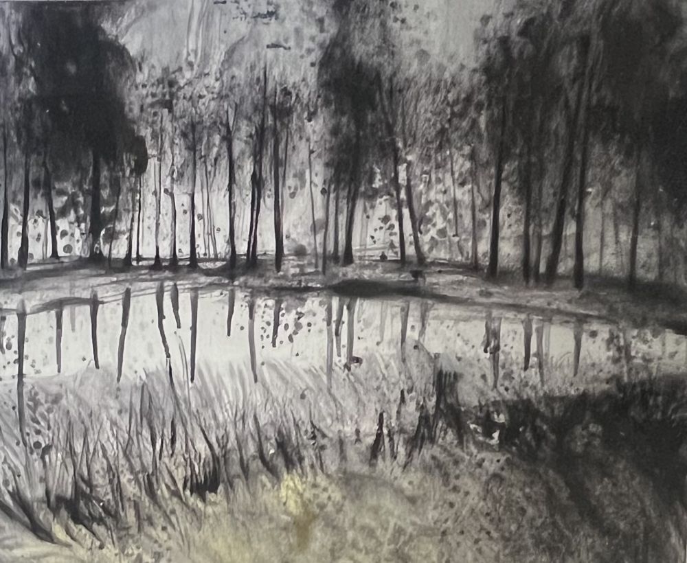 Non Tecnico Havaux - Grande Aquarelle sur papier signée Forêt
