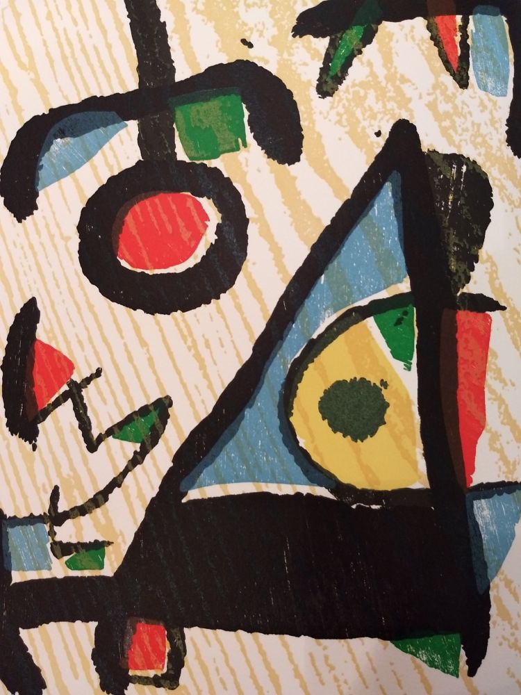 Libro Illustrato Miró - Graveur 2