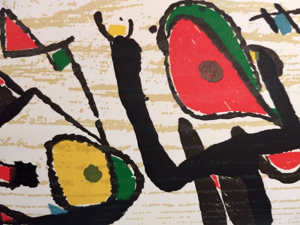 Libro Illustrato Miró - Graveur 3