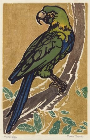 Incisione Su Legno Rice - Green Parrot