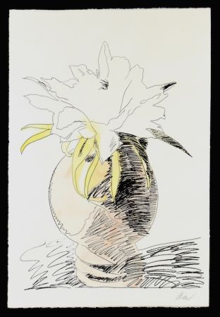Serigrafia Warhol - Hand Colored Flowers III.114