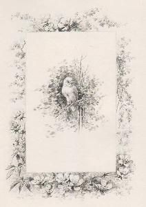 Libro Illustrato Giacomelli - Histoire d'un merle blanc. Compositions de Hector Giacomelli gravées à l'eau-forte par L. Buisson.