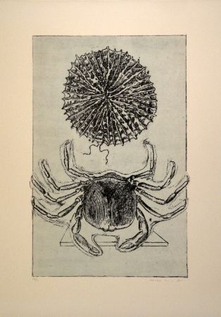 Libro Illustrato Ernst - Histoire naturelle
