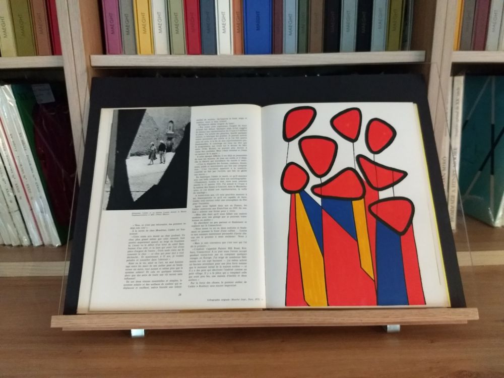 Libro Illustrato Calder - Hommage