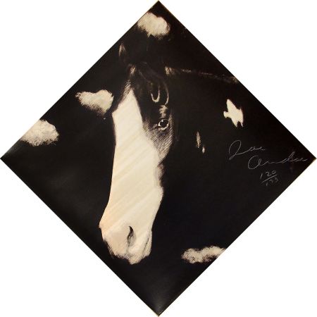 Serigrafia Andoe - Horse I