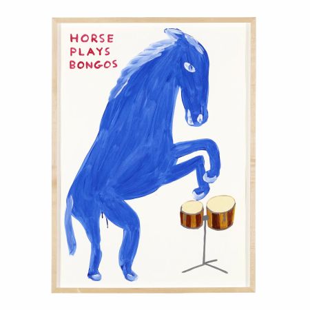 Non Tecnico Shrigley -  Horse plays Bongos
