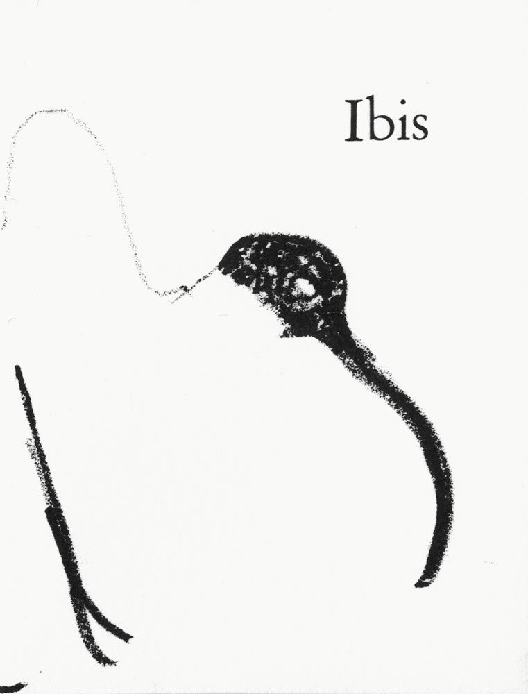 Litografia Aillaud - Ibis