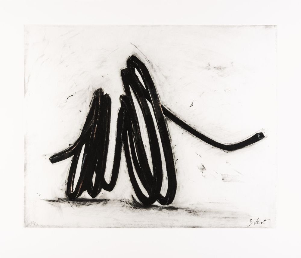 Incisione Venet - Indeterminate Line I