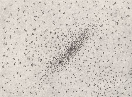 Litografia Ruscha - Insect Slants (Ants)