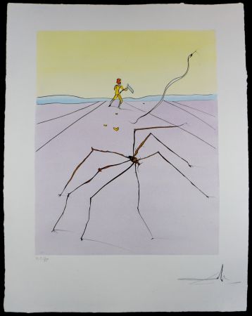 Incisione Dali - Japanese Fairy Tales The Weaver Spider