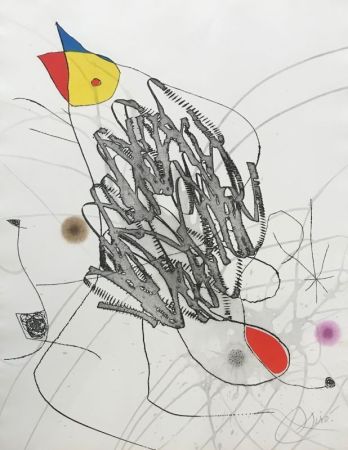 Acquaforte E Acquatinta Miró - Journal d'un graveur III 