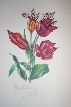 Litografia Dali - Kissing Tulips (surrealistic flowers)