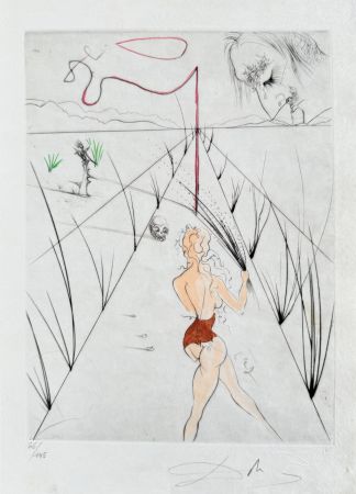 Incisione Dali - La Femme au fouet