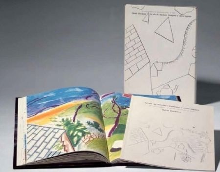 Libro Illustrato Hockney - La Isla de Martha Vineyard y otros lugares