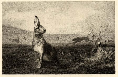 Incisione Bracquemond - La lièvre (The Hare)
