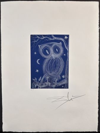 Incisione Dali - La Petite Chouette 2
