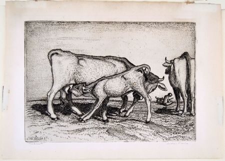 Incisione Bozzetti - LA VACCA E IL BOCCINO (The cow and the calf), fourth version. 