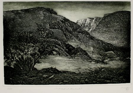 Acquaforte E Acquatinta Müller - Landschaft mit Strauchwerk / Landscape with Bushes