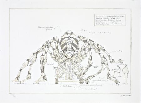 Litografia Delarozière - L'araignée géante