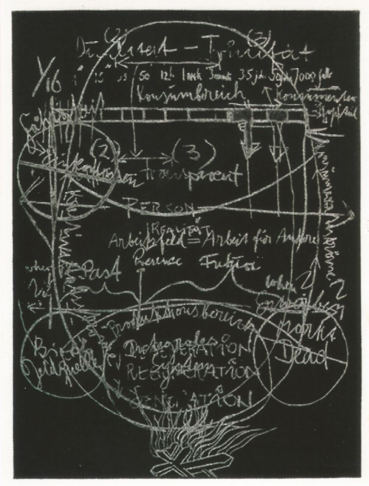 Acquatinta Beuys - L'arte è una zanzara dalle mille ali - III