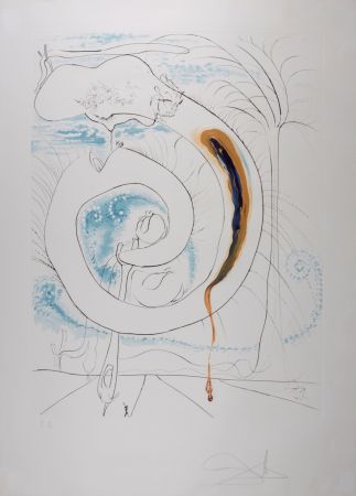 Litografia Dali - Le cercle viscéral du cosmos