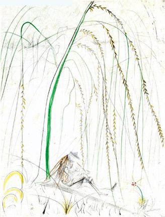 Incisione Dali - Le Saule Pleurer (Weeping Willow)