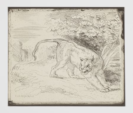 Non Tecnico Delacroix - Le tigre en arrêt (A trapped tiger, also: 'Tiger at bay' or 'Tiger at a standstill')