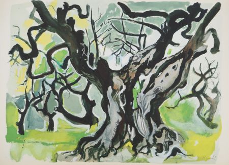 Litografia Pignon - Le vieil olivier