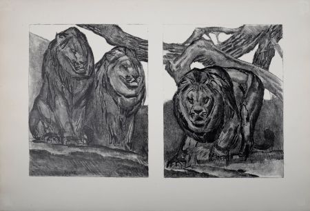 Litografia Jouve - Les Lions, 1934.