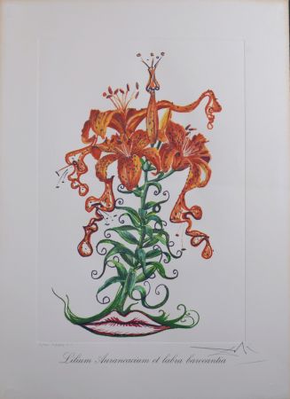 Multiplo Dali - Lilium Aurancacium et labra barocantia, 1972 - Hand-signed!