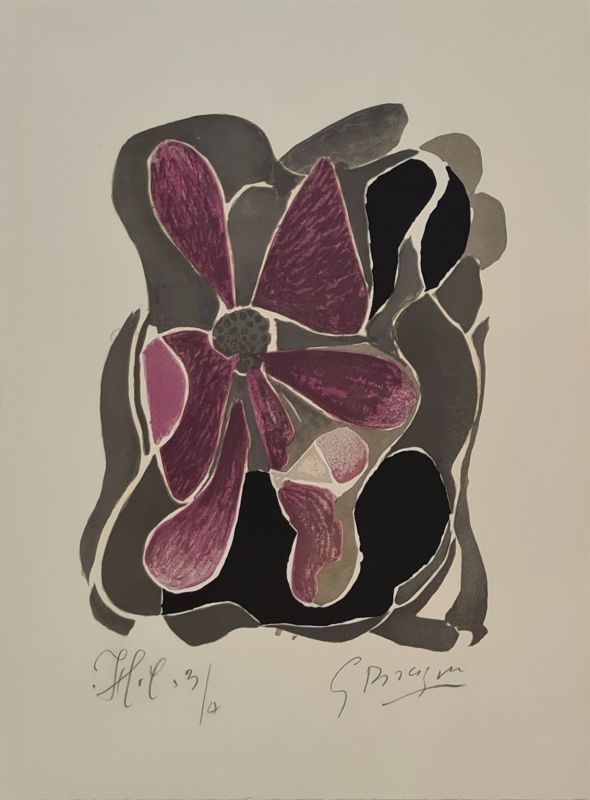 Litografia Braque - L'Iris 