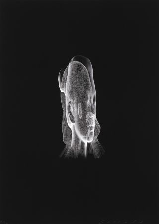 Grafica Numerica Plensa - Lumière invisible Rui Rui