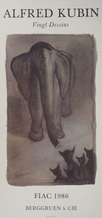 Libro Illustrato Kubin - L'éléphant