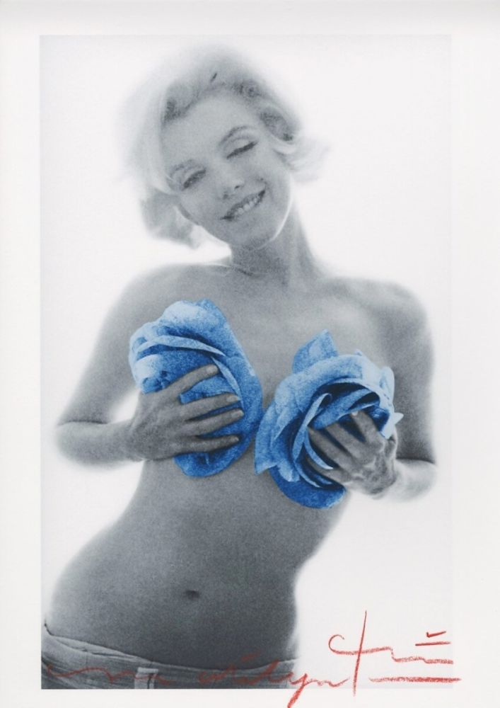 Multiplo Stern - Marilyn Monroe blue wink roses