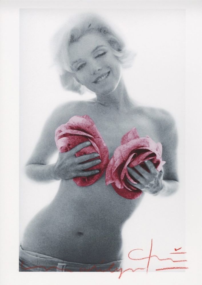 Multiplo Stern - Marilyn Monroe pink wink roses