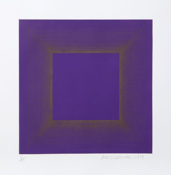 Acquatinta Anuszkiewicz - Midnight Suite (Purple with Silver)