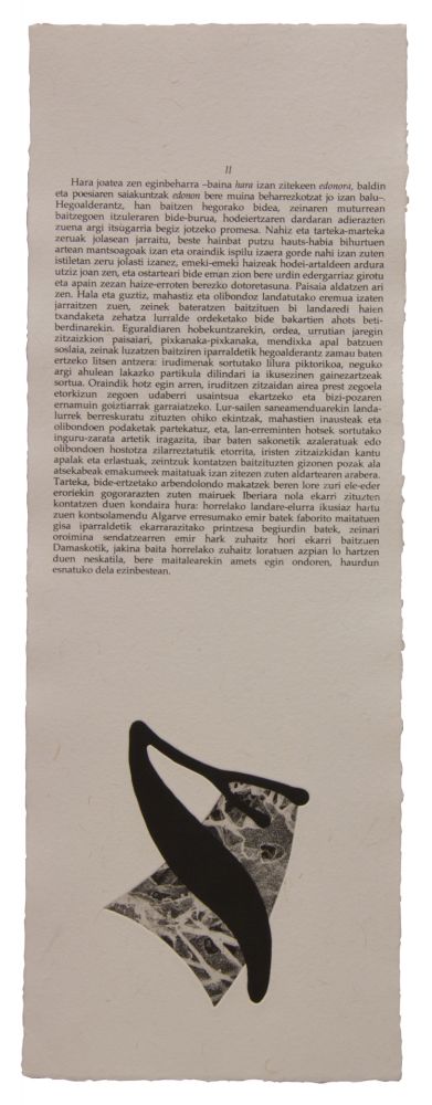 Libro Illustrato Baroja-Collet - Neguko kronika hegoaldeko ordeketan