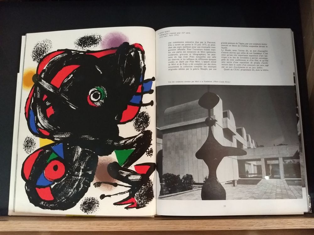 Libro Illustrato Miró - No 46