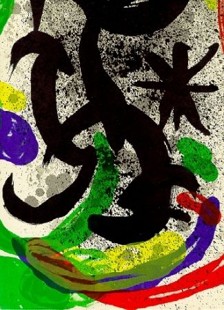 Libro Illustrato Miró - Oeuvre gravé et lithographié
