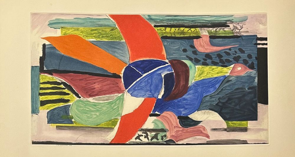 Incisione Braque - Oiseau multicolore